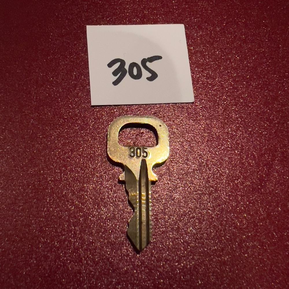 Louis Vuitton key #305